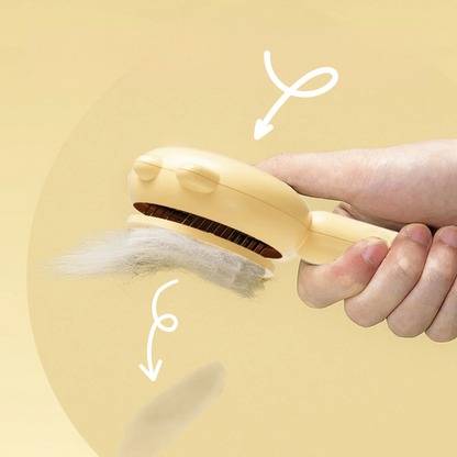 Pack Bouteille + Brosse