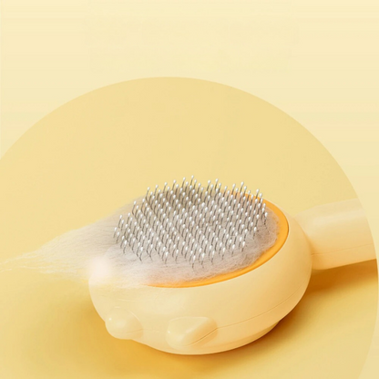 Pack Bouteille + Brosse